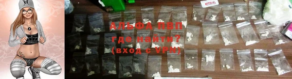 стаф Белокуриха
