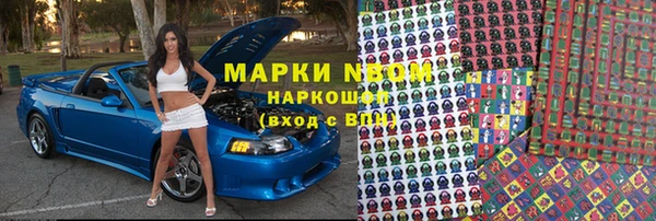 стаф Белокуриха