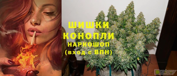 ГАЛЛЮЦИНОГЕННЫЕ ГРИБЫ Белоозёрский