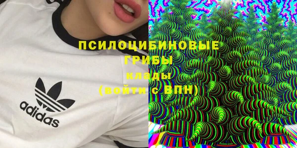 ГАЛЛЮЦИНОГЕННЫЕ ГРИБЫ Белоозёрский