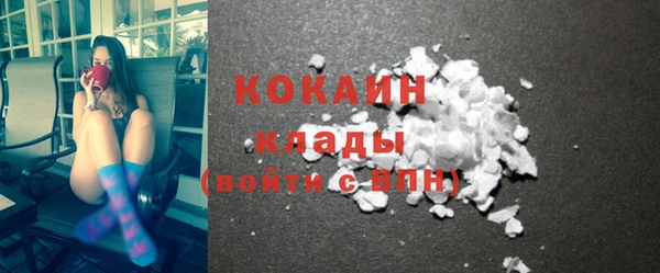 стаф Белокуриха