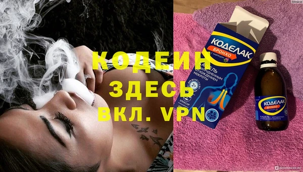 стаф Белокуриха