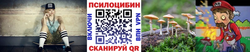 магазин продажи наркотиков  Джанкой  Псилоцибиновые грибы Psilocybe 