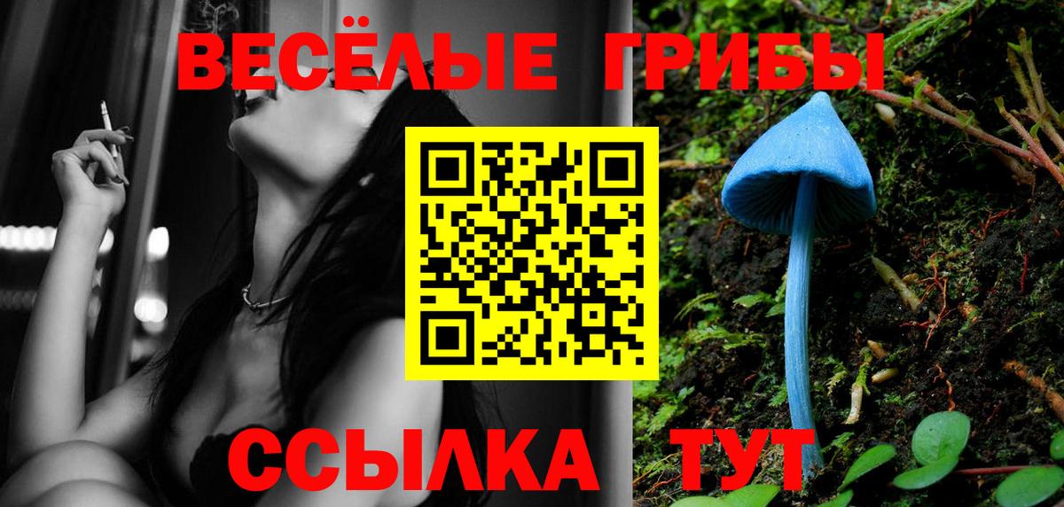 Галлюциногенные грибы Magic Shrooms Джанкой